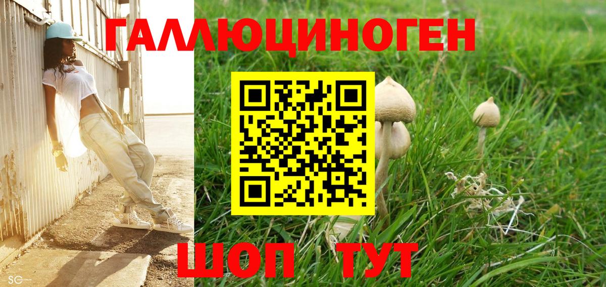 Новосибирск  Галлюциногенные грибы мухоморы  Вход с VPN  Псилоцибиновые грибы мухоморы 